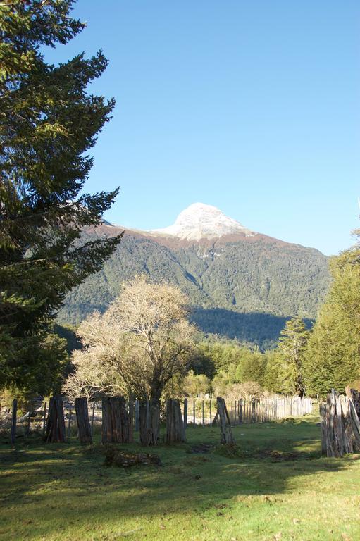 Casa Campo Carretera Austral Puerto Cisnes Exterior photo